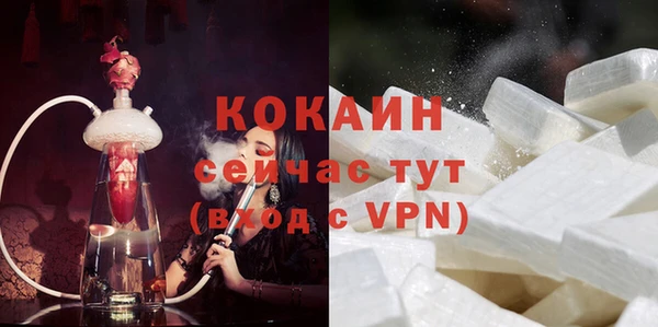 стаф Краснослободск
