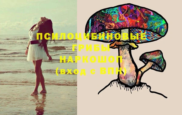 стаф Краснослободск