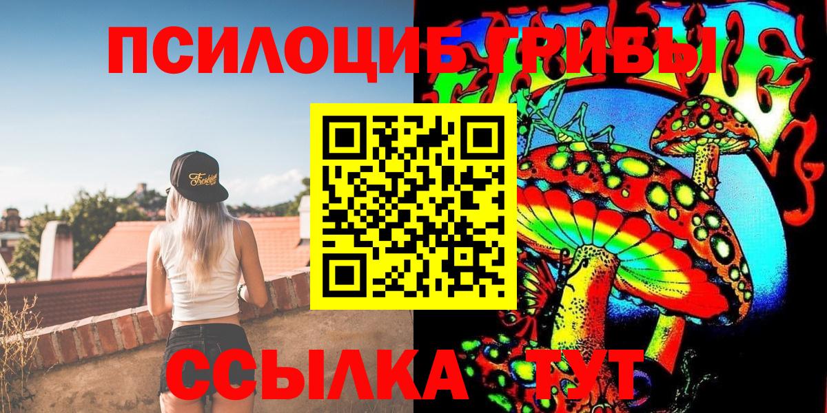 Галлюциногенные грибы Psilocybe  Джанкой 