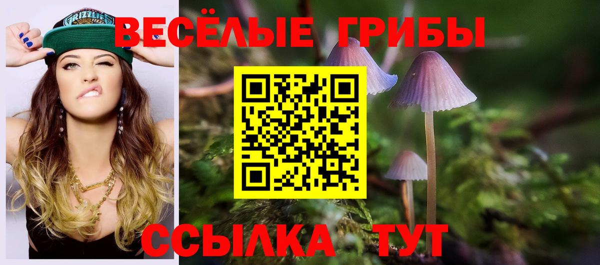 Псилоцибиновые грибы Magic Shrooms  Галлюциногенные грибы мухоморы  Вход с VPN  купить закладку  Джанкой 